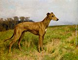 Arthur Wardle Famous Paintings - Champion Greyhound Dee Flint